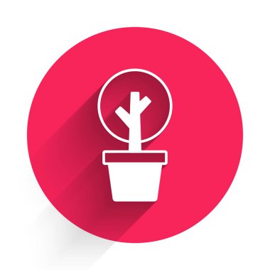 Beyaz Ağaç simgesi uzun gölgelerle izole edilmiş. Orman sembolü. Kırmızı daire düğmesi. Vektör