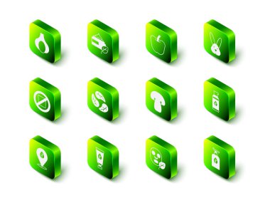 Organik kozmetik, elma, hayvan zulmü, mantar, yüz maskesi ve ikon. Vektör