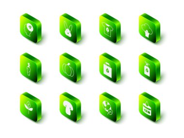 Hayvan zulmünü serbest bırak, vegan gömleği, brokoli, organik kozmetik, geri dönüşümlü alışveriş torbası, toprak küresi, yaprak ve mantar ikonu. Vektör