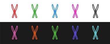 Siyah ve beyaz arkaplanda izole edilmiş simgeyi budamak için el yapımı bahçe makasını ayarla. Ahşap saplı budama makası. Vektör.