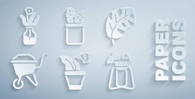 Saksıda çiçek, tropikal yapraklar, çamurlu el arabası, tezgahta bitki kaktüs peyote ve cam şişe ikonu. Vektör