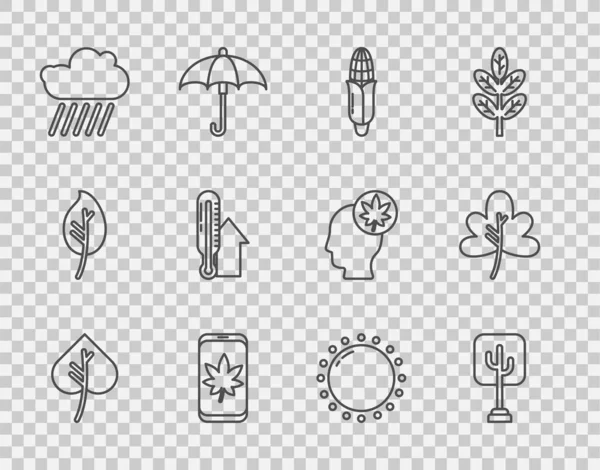 Ställ linje Blad eller blad, Träd, Majs, på mobiltelefon, Moln med regn, Meteorologi termometer, Sol och ikon. Vektor — Stock vektor