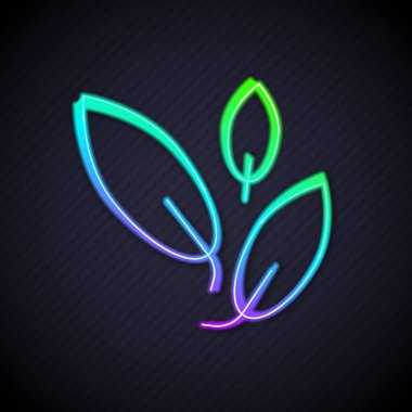 Parlayan neon hattı çay yaprağı simgesi siyah arkaplanda izole edildi. Çay yaprakları. Vektör