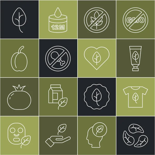 Yaprak ya da yaprak, vegan gömleği, organik kozmetik, glütensiz tahıl, et yok, erik meyvesi ve yiyecek diyeti ikonu. Vektör