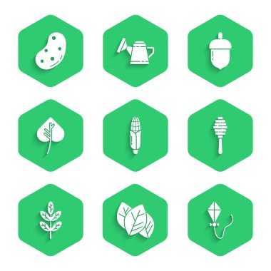 Mısır, Yaprak Yaprağı, Uçurtma, Bal Çubuğu, Meşe ve Patates ikonu. Vektör