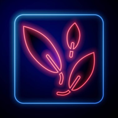Parlayan neon çay yaprağı simgesi siyah arkaplanda izole edildi. Çay yaprakları. Vektör