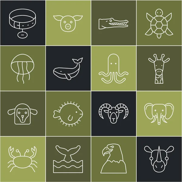 Set line Rhinoceros, Elephant, Giraffe head, Crocodile, Whale, Jellyfish, Collar with name tag and Octopus icon. Vector — 图库矢量图片