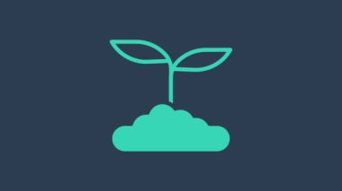 Turkuaz çay yaprağı simgesi mavi arkaplanda izole edildi. Çay yaprakları. 4K Video hareketli grafik canlandırması