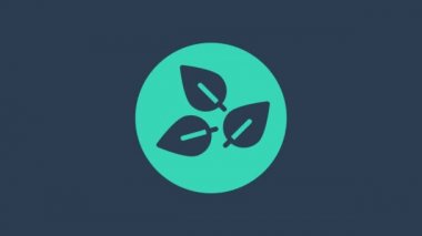 Turkuaz çay yaprağı simgesi mavi arkaplanda izole edildi. Çay yaprakları. 4K Video hareketli grafik canlandırması