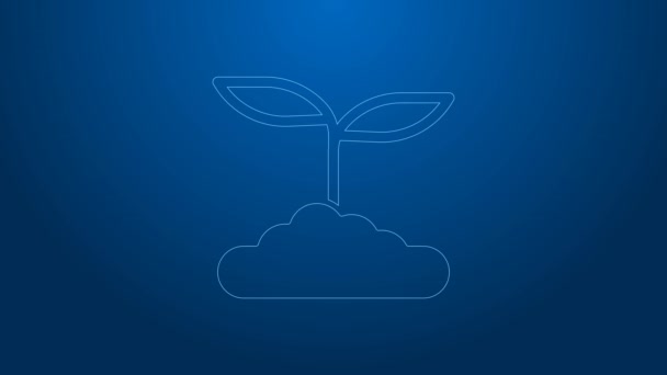 White line Tea leaf icon isolated on blue background. Tea leaves. 4K Video motion graphic animation — Vídeos de Stock