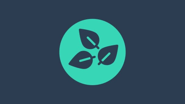 Turquoise Tea leaf icon isolated on blue background. Tea leaves. 4K Video motion graphic animation — Vídeos de Stock