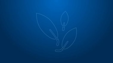 Beyaz çizgi çay yaprağı simgesi mavi arkaplanda izole edildi. Çay yaprakları. 4K Video hareketli grafik canlandırması