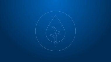 Beyaz çizgi çay yaprağı simgesi mavi arkaplanda izole edildi. Çay yaprakları. 4K Video hareketli grafik canlandırması