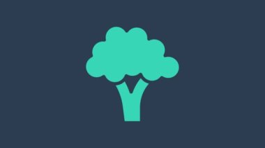 Turkuaz Brokoli simgesi mavi arkaplanda izole edildi. 4K Video hareketli grafik canlandırması