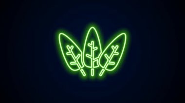 Parlayan neon çizgisi Yaprak simgesi siyah arkaplanda izole edildi. İşaret bırakıyor. Taze doğal ürün sembolü. 4K Video hareketli grafik canlandırması