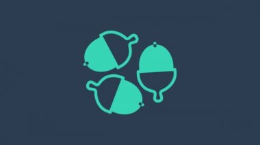 Turkuaz meşe palamudu mavi arka planda izole edildi. 4K Video hareketli grafik canlandırması