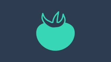 Turkuaz domates ikonu mavi arkaplanda izole edildi. 4K Video hareketli grafik canlandırması