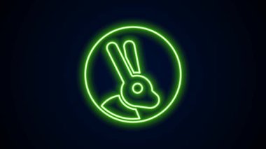 Parlak neon hattı. Siyah arka planda izole edilmiş tavşan ikonu ile hayvanlara zulüm yok. 4K Video hareketli grafik canlandırması
