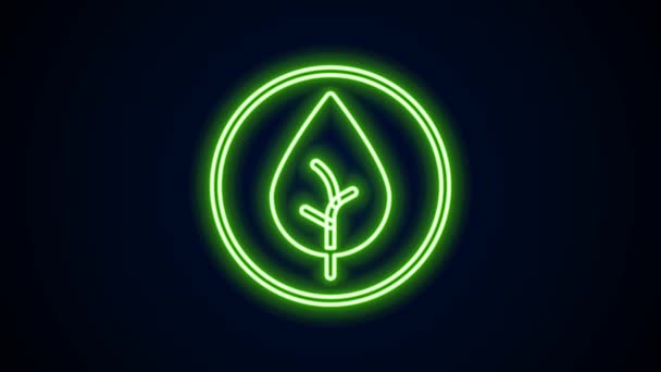 Glowing neon line Tea leaf icon isolated on black background. Tea leaves. 4K Video motion graphic animation — стоковое видео