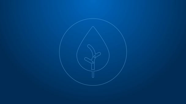 White line Tea leaf icon isolated on blue background. Tea leaves. 4K Video motion graphic animation — Stock videók