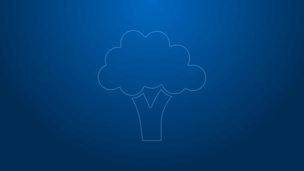 White line Broccoli icon isolated on blue background. 4K Video motion graphic animation — Stock Video