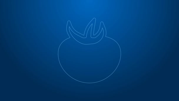 White line Tomato icon isolated on blue background. 4K Video motion graphic animation — Stock Video