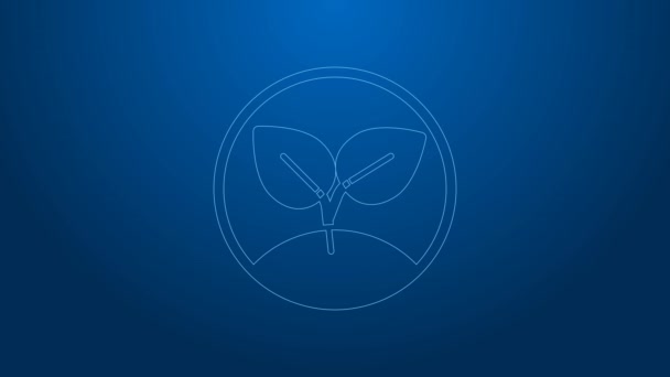 White line Sprout icon isolated on blue background. Seed and seedling. Leaves sign. Leaf nature. 4K Video motion graphic animation — Stock Video
