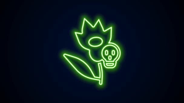 Glowing neon line Poison flower icon isolated on black background. 4K Video motion graphic animation — Stock video