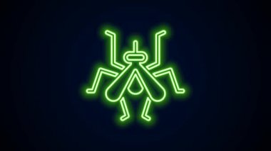 Parlayan neon hattı sivrisinek ikonu siyah arkaplanda izole edildi. 4K Video hareketli grafik canlandırması