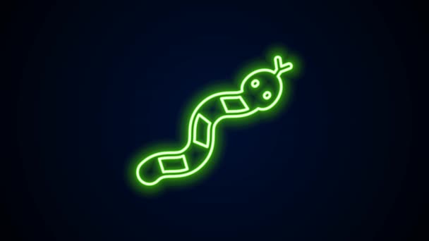 Zářící neonová čára Ikona Snake izolovaná na černém pozadí. Grafická animace pohybu videa 4K — Stock video
