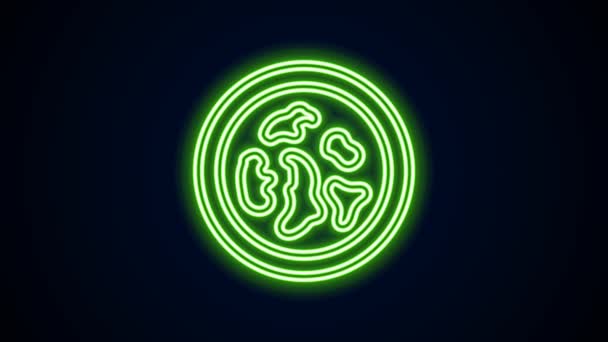 Світла неонова лінія чашки Петрі з іконою бактерій ізольована на чорному тлі. 4K Відео рух графічна анімація — стокове відео