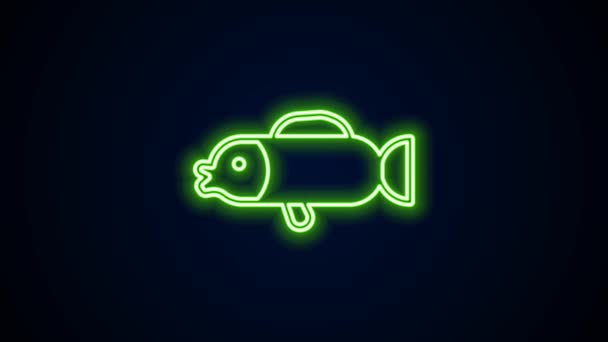Светящаяся неоновая линия иконка рыбы фугу выделена на черном фоне. Японская рыба фугу. Видеографическая анимация 4K — стоковое видео