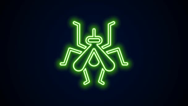 Világító neon vonal szúnyog ikon elszigetelt fekete háttérrel. 4K Videó mozgás grafikus animáció — Stock videók