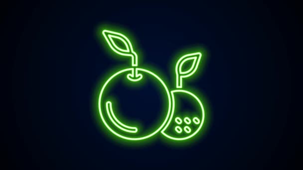 Glowing neon line ikon Buah terisolasi pada latar belakang hitam. Animasi grafis gerak Video 4K — Stok Video