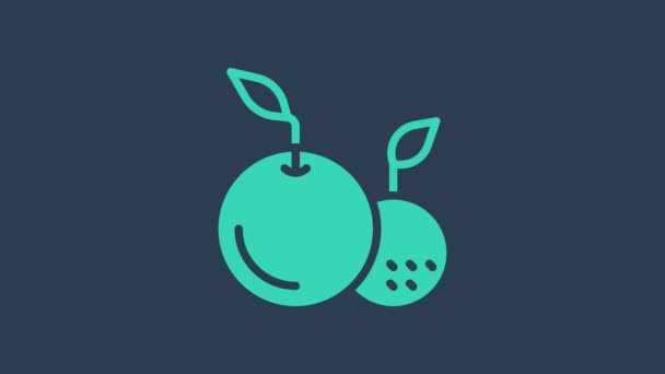 Turquoise Fruit icon isolated on blue background. 4K Video motion graphic animation — стоковое видео