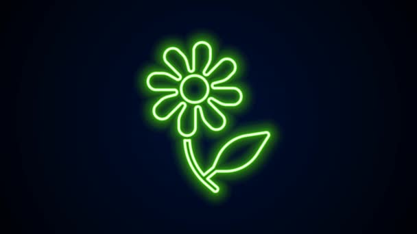 Glowing neon line Flower icon isolated on black background. Sweet natural food. 4K Video motion graphic animation — Stock Video