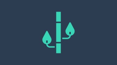 Turkuaz Bambu simgesi mavi arkaplanda izole edildi. 4K Video hareketli grafik canlandırması