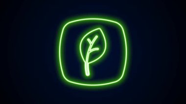 Parlayan neon çizgisi Yaprak Eko simgesi simgesi siyah arkaplanda izole edildi. Pankart, etiket, etiket, logo, çevre yeşili etiketi. 4K Video hareketli grafik canlandırması