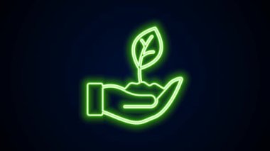 Parlayan neon hattı Siyah zemin üzerinde izole edilmiş çevre koruma ikonu elinde bitki. Tohum ve tohum. Fidan dikiyorum. 4K Video hareketli grafik canlandırması