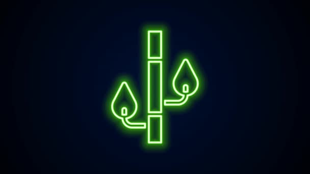 Gloeiende neon lijn Bamboe pictogram geïsoleerd op zwarte achtergrond. 4K Video motion grafische animatie — Stockvideo