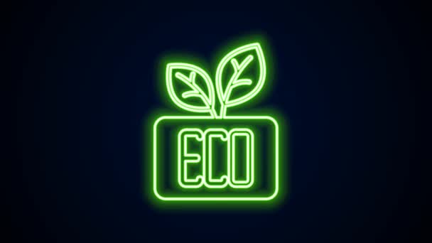 Icono de símbolo de Hoja Eco de línea de neón brillante aislado sobre fondo negro. Banner, etiqueta, etiqueta, logotipo, etiqueta para eco verde. Animación gráfica de vídeo 4K — Vídeos de Stock