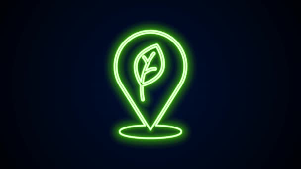 Linea al neon incandescente Posizione con icona foglia isolata su sfondo nero. Concetto energetico ecologico. Concetto di energia alternativa. Animazione grafica 4K Video motion — Video Stock