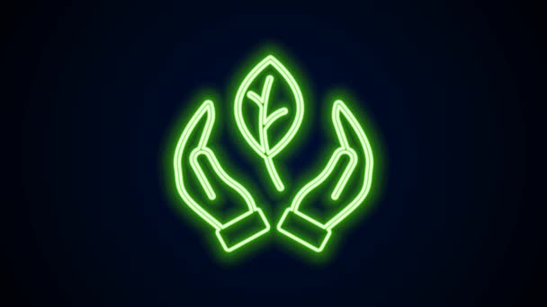Glowing neon line Hand hold a leaf of the plant icon isolated on black background. Care nature. Leaf shoots with environmental protection. 4K Video motion graphic animation — Video Stock