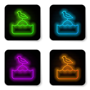 Parlayan neon hattı Martı beyaz arka planda izole edilmiş deniz ikonunda bir şamandıranın üzerinde oturuyor. Siyah kare düğme. Vektör