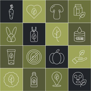 Yüz maskesi, bitki, organik, mantar, vejetaryen beslenme, hayvanlara eziyet, havuç ve yaprak ya da yaprak yok. Vektör