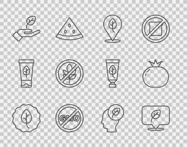 Set line Leaf or leaves, Vegan food diet, No GMO, Plant in hand, Gluten free grain, Human head with leaf inside and Tomato icon. Vector — Stockvektor