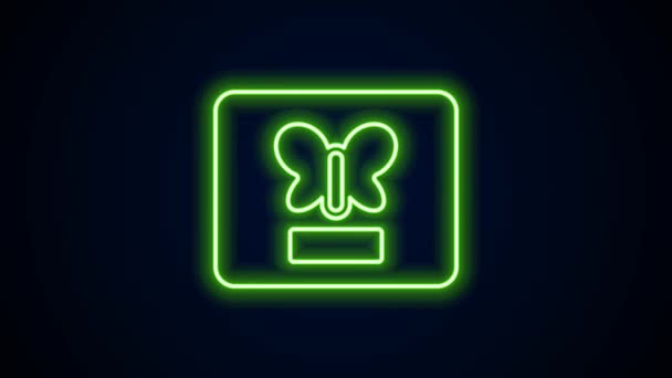 Glödande neon line Fjäril i en ram ikon isolerad på svart bakgrund. Herbarium. 4K Video motion grafisk animation — Stockvideo