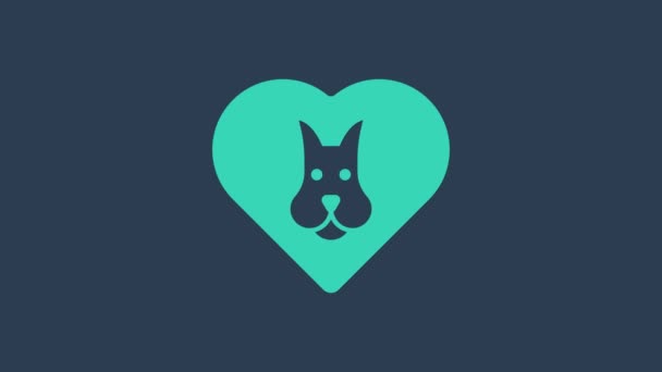 Turquoise Heart with dog icon isolated on blue background. Pet paw in heart. Love to the animals. 4K Video motion graphic animation — Stock Video