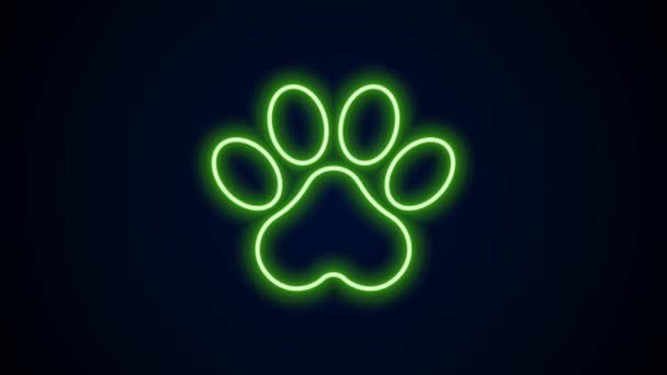 Zářící neonová čára Ikona otisku tlapky izolovaná na černém pozadí. Otisk psí nebo kočičí tlapky. Zvířecí. Grafická animace pohybu videa 4K — Stock video