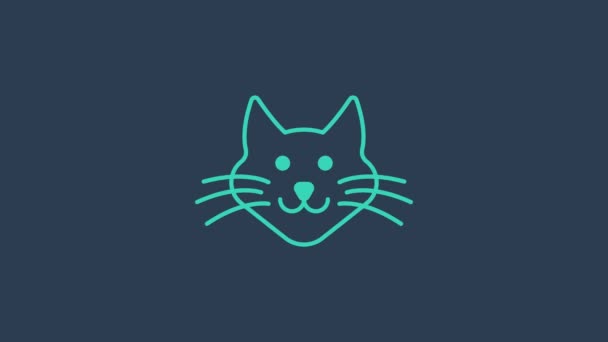 Turquoise Cat icon isolated on blue background. 4K Video motion graphic animation — Wideo stockowe